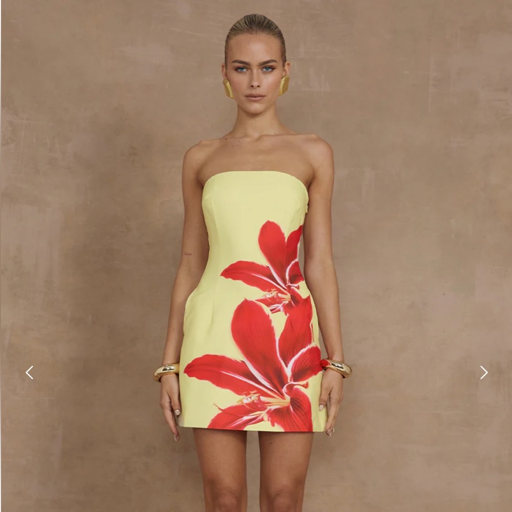 Runaway the Label primrose mini dress size XS new with tags